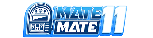 MateMate11